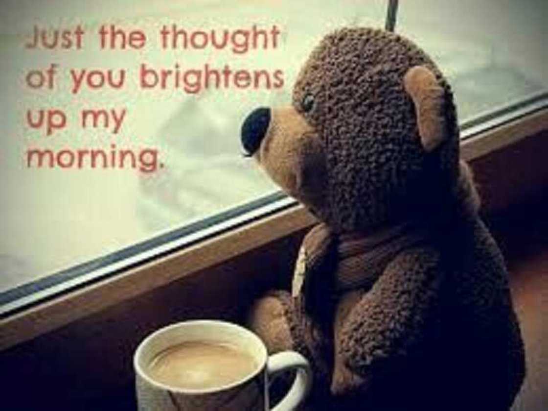 Funny good morning memes Funny good morning memes