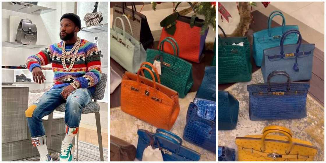 Floyd mayweather birkin bag sale