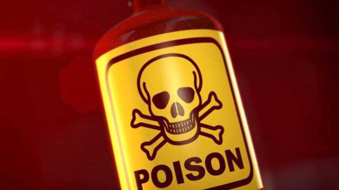 Shan guba a abin sha. Shan guba a abin sha.