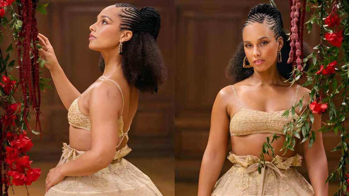 Alicia Keys braids