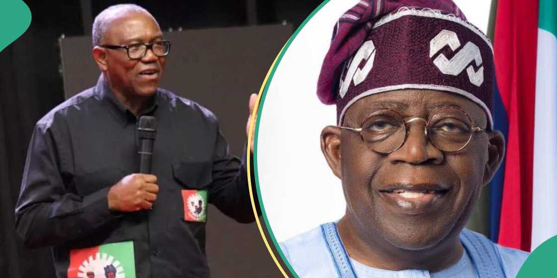 Peter Obi blasts Tinubu's govt over plan to buy presidential jets Peter Obi blasts Tinubu's govt over plan to buy presidential jets
