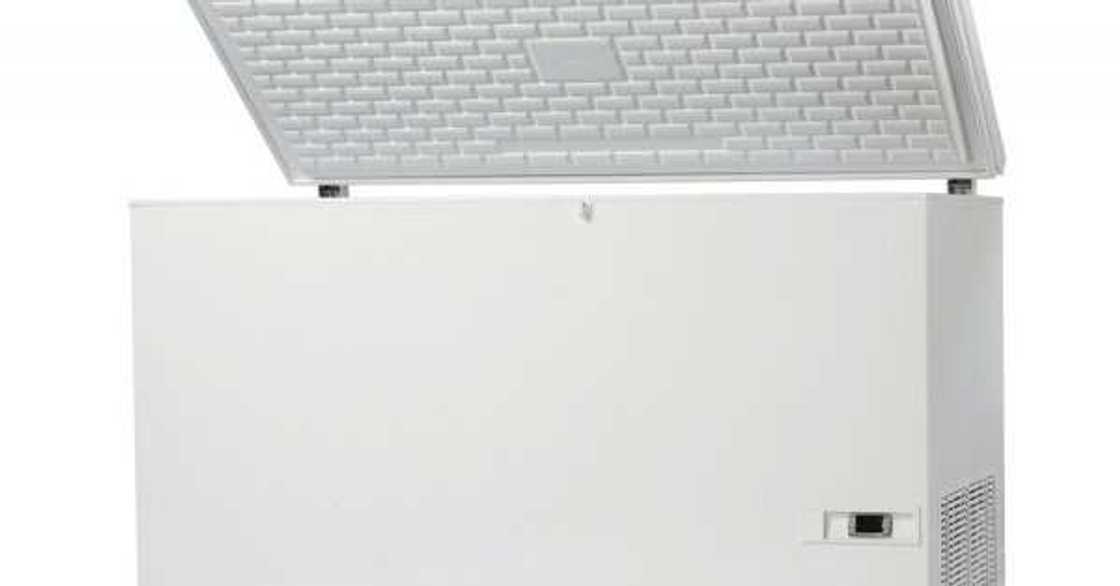 Abin tausayi: An gano gawar yara 2 da kare 1 a cikin firinji a Legas Abin tausayi: An gano gawar yara 2 da kare 1 a cikin firinji a Legas