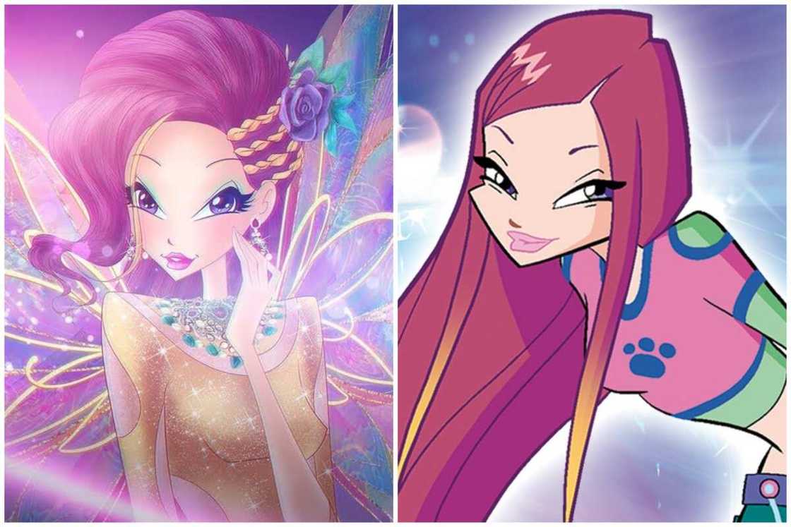 Winx fairy characters Winx fairy characters