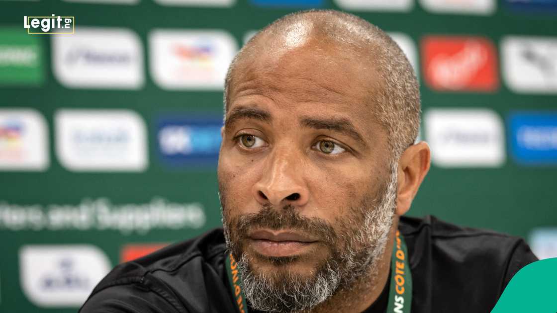 Eric Chelle, Super Eagles, Nigeria. Eric Chelle, Super Eagles, Nigeria.