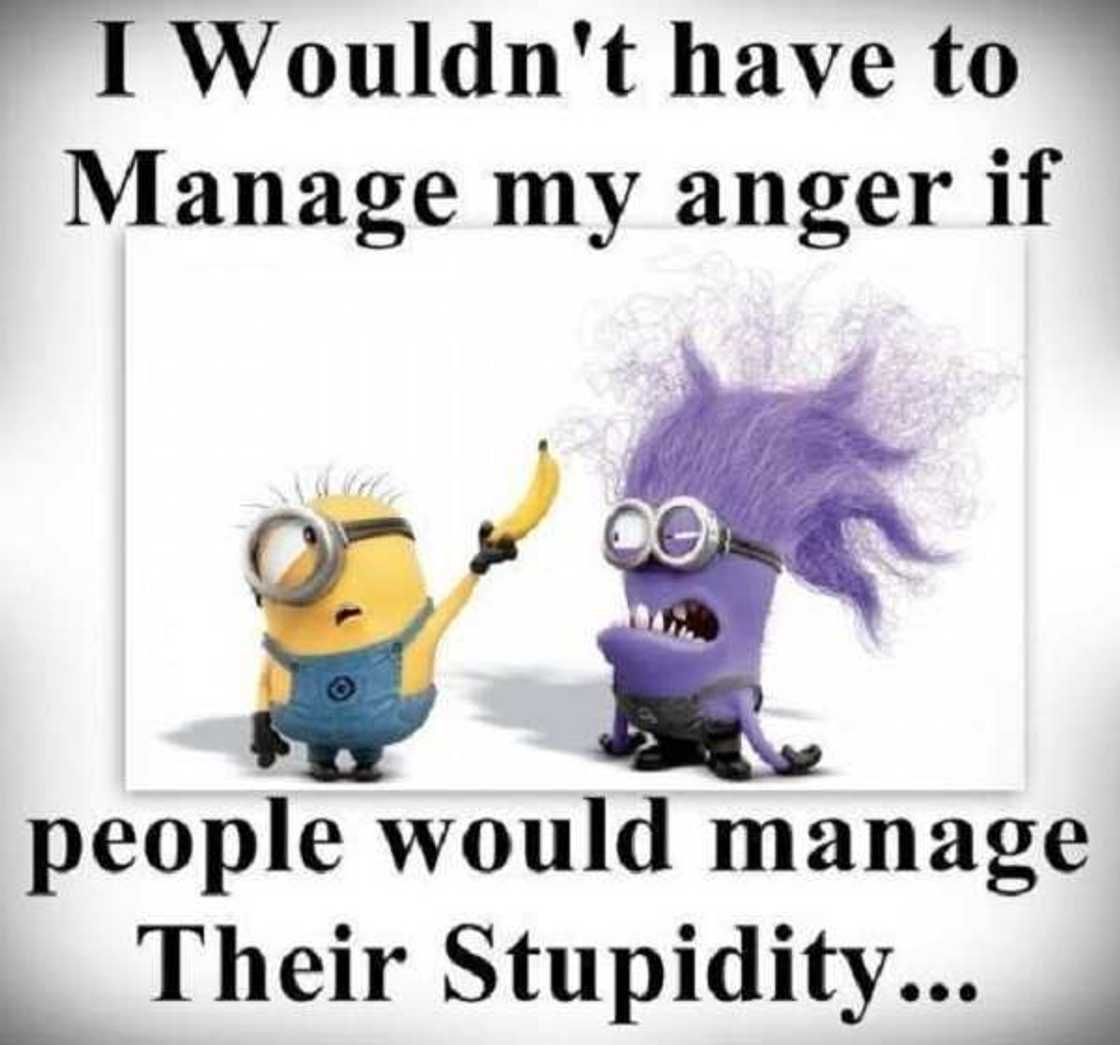 ironic minion memes