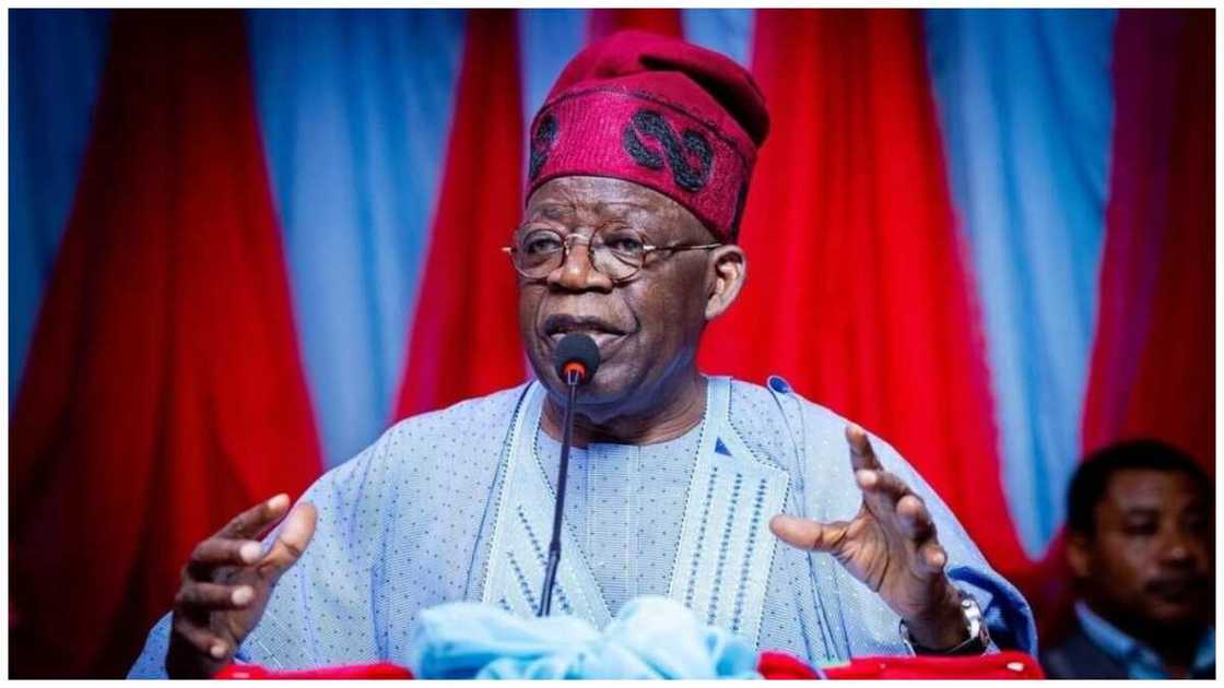 Tinubu, Osinbajo, Lawan, APC presidential ticket, 2023 election