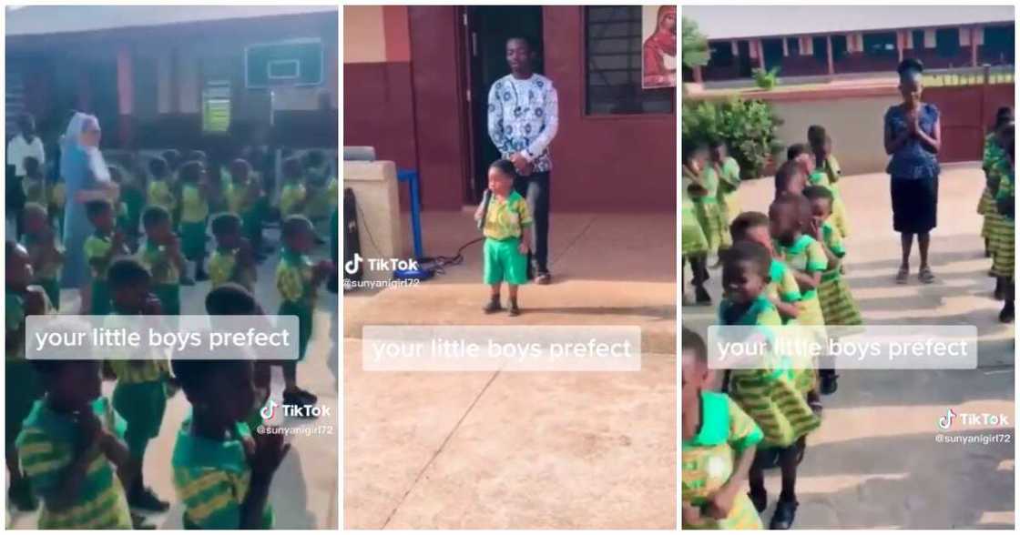 Little boy leads school assembly, little boy, school assembly, mic like a teacher Little boy leads school assembly, little boy, school assembly, mic like a teacher