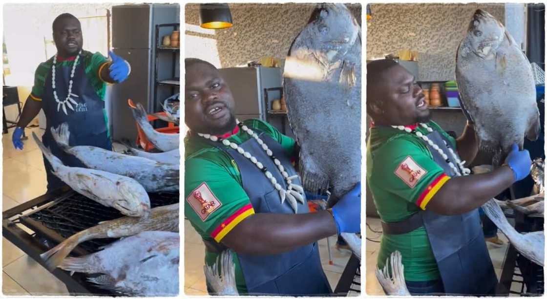Businessman displays black snapper fish. Businessman displays black snapper fish.