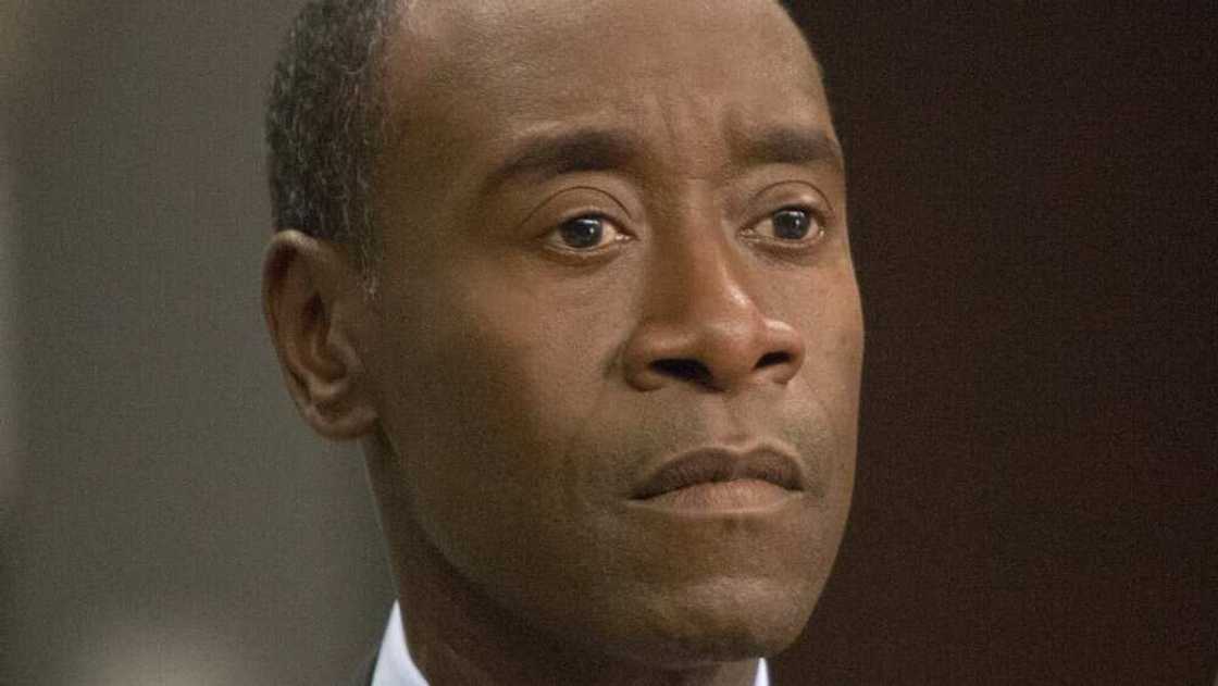 don cheadle movies