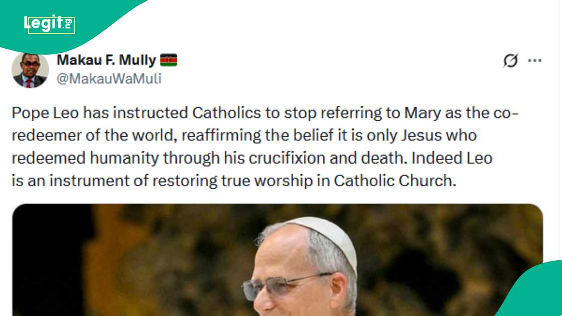 Man reacts to Pope Leo's new decree about Mary.