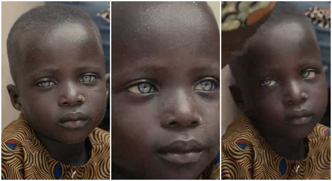 Cute little boy with beautiful pair of eyes and glowing black skin.