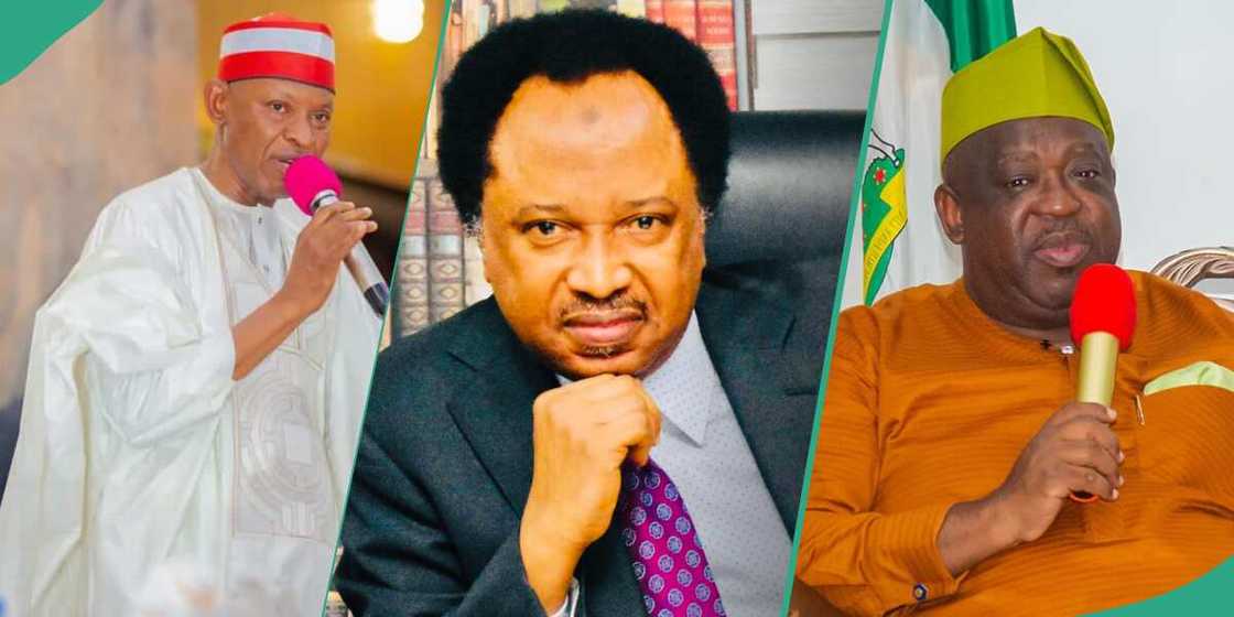 Shehu Sani reveals why Appeal Court should not sack Kano, Plateau governors