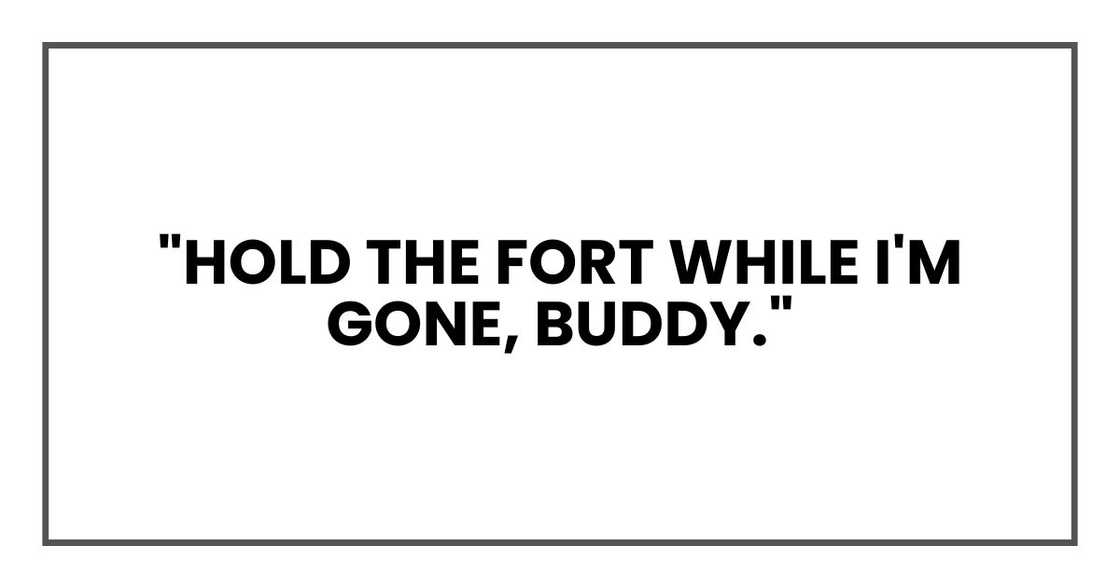 "Hold the fort while I'm gone, buddy." "Hold the fort while I'm gone, buddy."