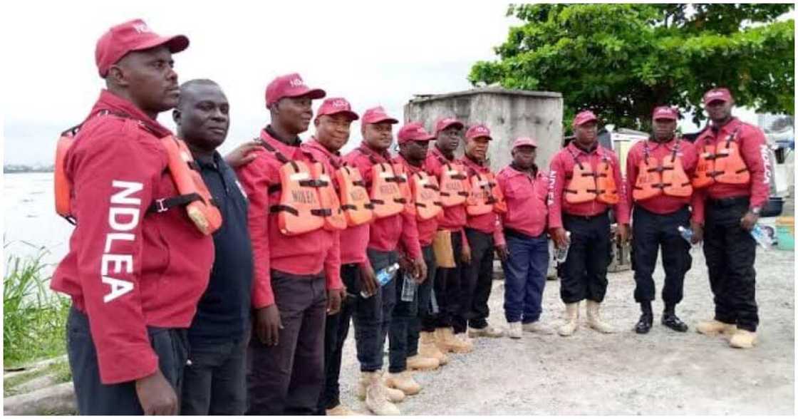 Jami'an hukumar NDLEA a cikin shirin aiki. Jami'an hukumar NDLEA a cikin shirin aiki.