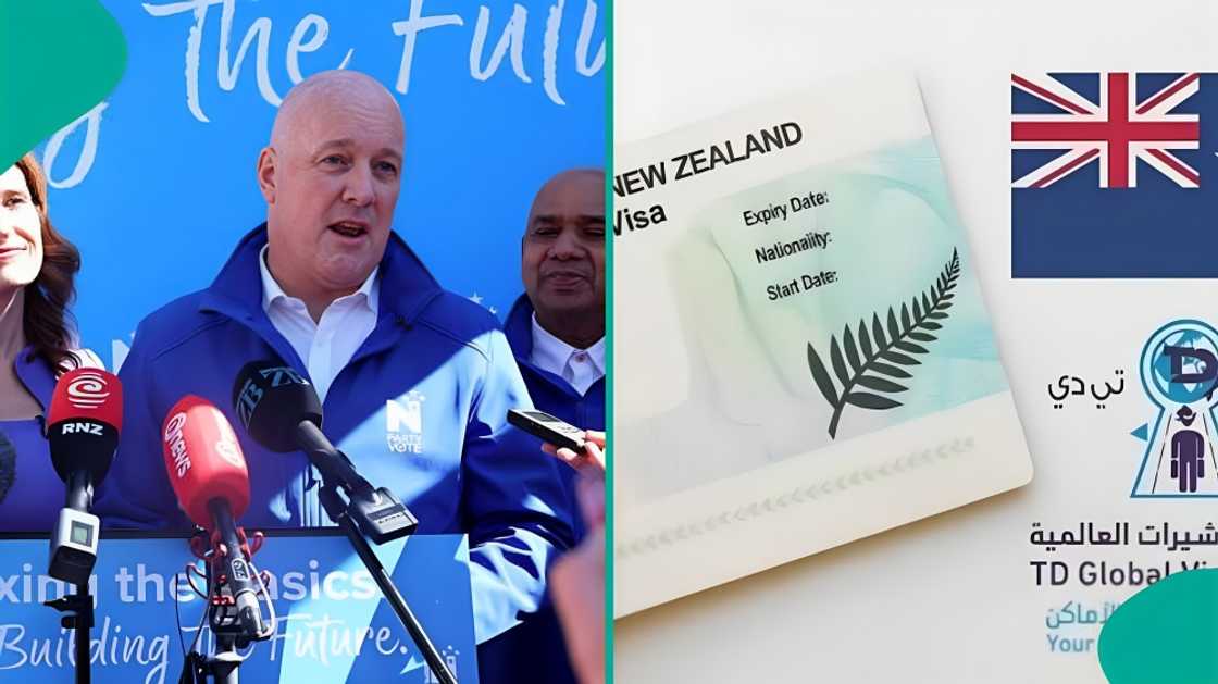 New Zealand shares families that qualify for its new residence visa selection system New Zealand shares families that qualify for its new residence visa selection system
