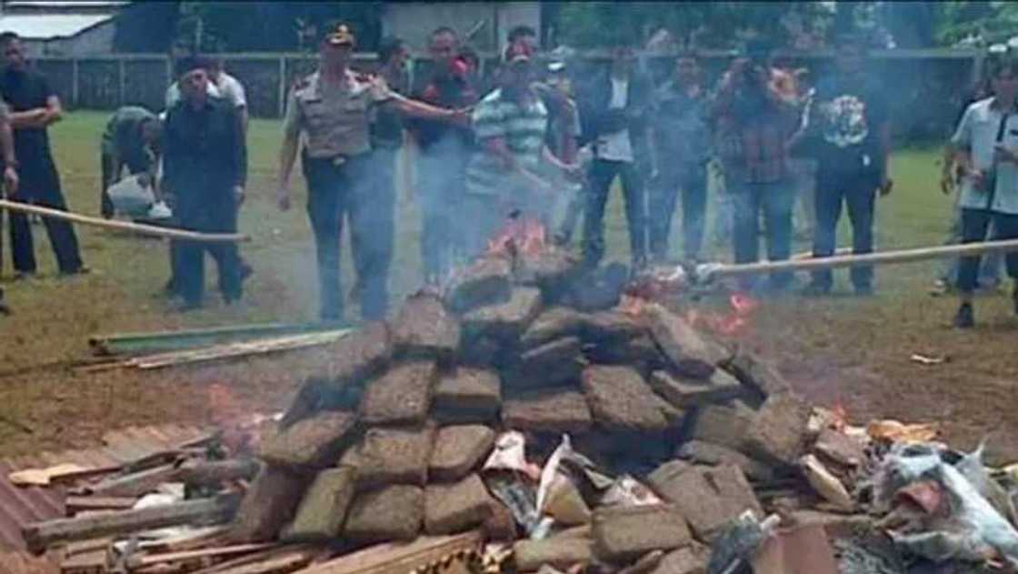 Tashin hankali: Mutanen gari sun bugu sunyi mankas, bayan 'yan sanda sun kone mota guda ta tabar wiwi Tashin hankali: Mutanen gari sun bugu sunyi mankas, bayan 'yan sanda sun kone mota guda ta tabar wiwi