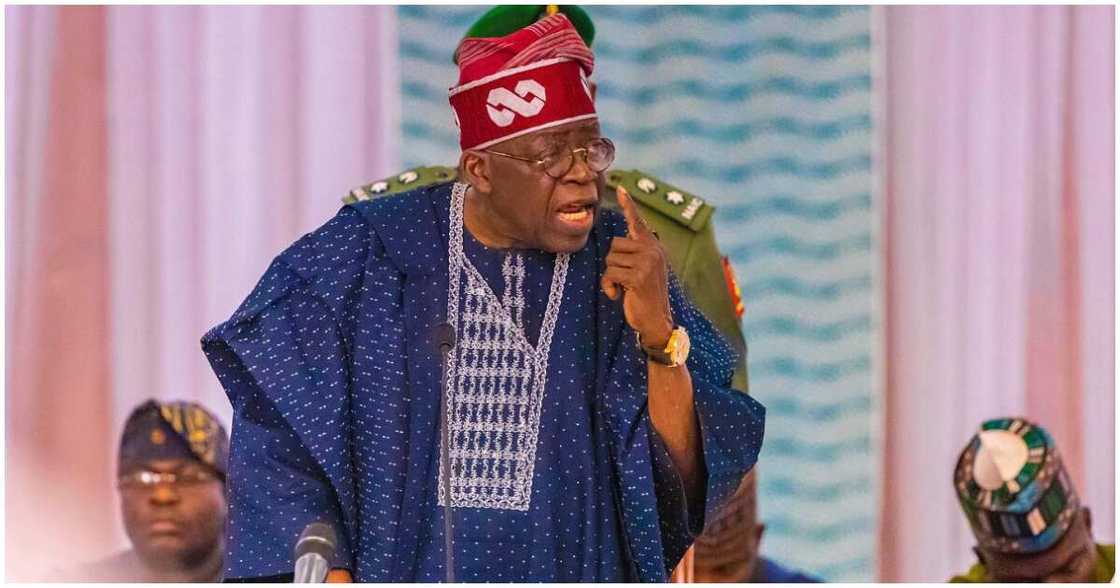 Student loan bill/ Tinubu signs student loan bill/ Students who can't access Tinubu's loan Student loan bill/ Tinubu signs student loan bill/ Students who can't access Tinubu's loan