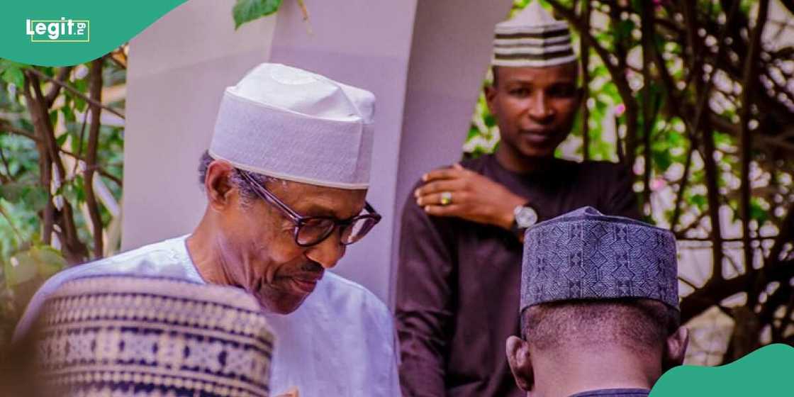 Buhari, Niger Republic, Daura, Katsina, Bola Tinubu Buhari, Niger Republic, Daura, Katsina, Bola Tinubu