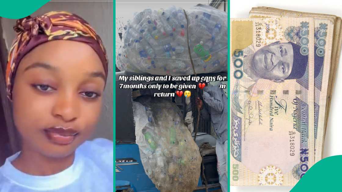 Nigerian lady sells empty water bottles, earns N11,000, saved for 7 months, siblings help, tricycle load, TikTok post, recycling, environmental benefits, reactions, social media, struggle, viral story.