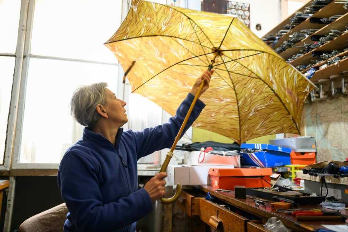 'I believe I can repair 98 percent of all the umbrellas I get,' says Slovenian Marija Lah 'I believe I can repair 98 percent of all the umbrellas I get,' says Slovenian Marija Lah