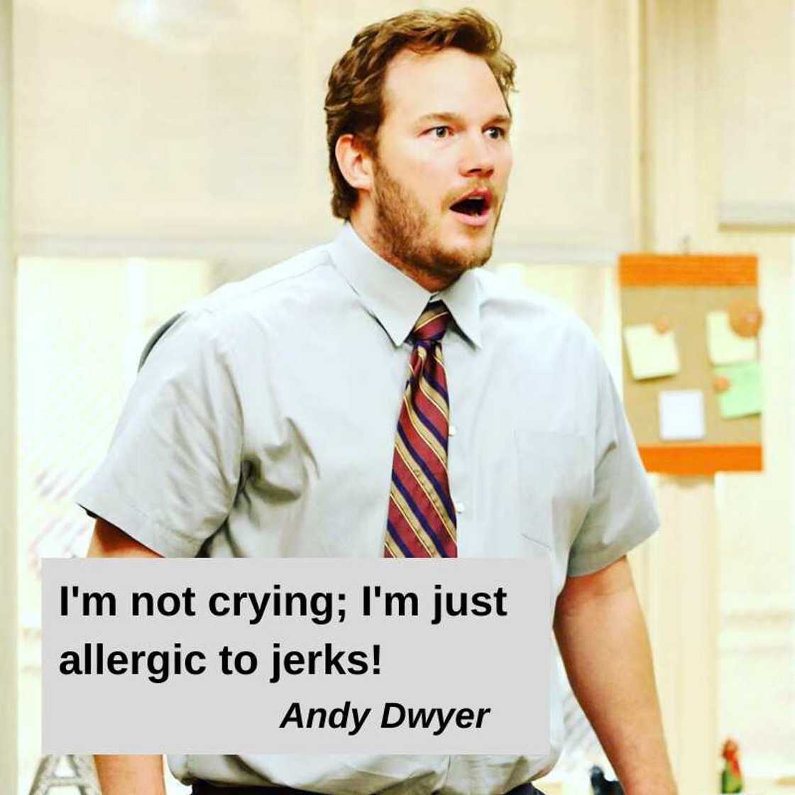 Andy Dwyer quotes Andy Dwyer quotes