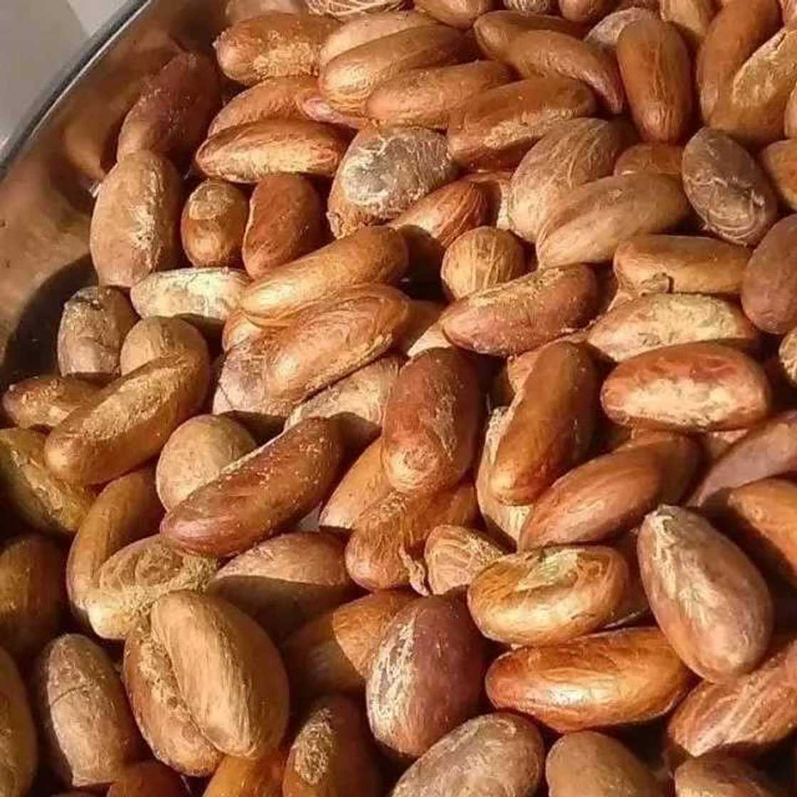 Bitter kola advantages Bitter kola advantages