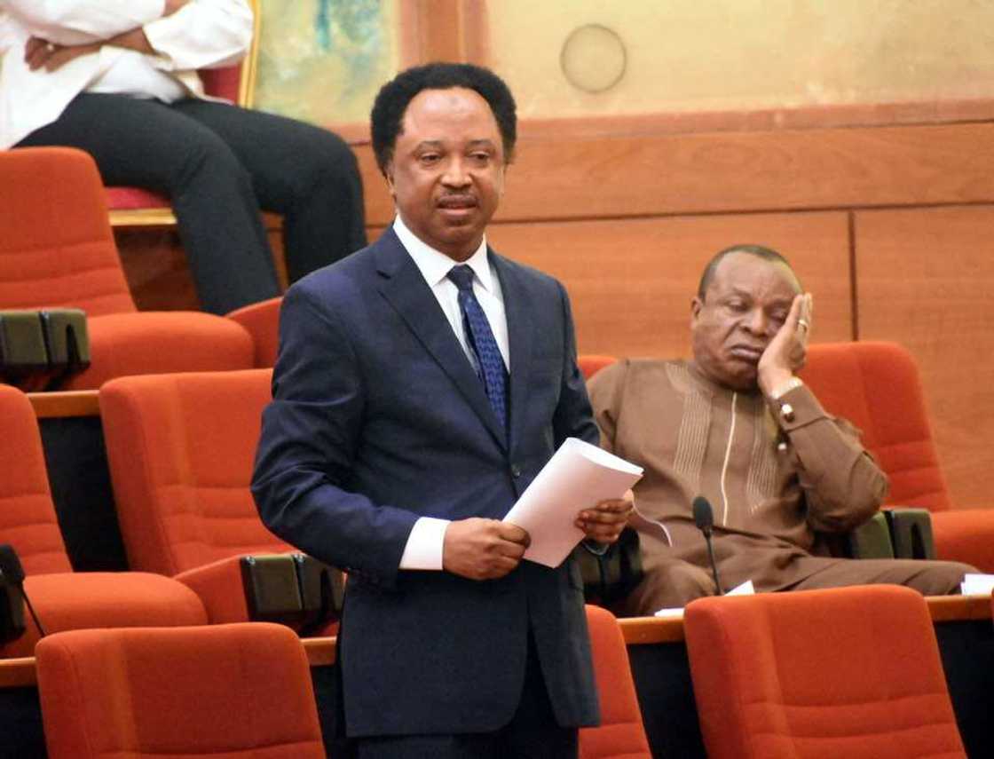 Kaduna 2023: Shehu Sani Lists 12 Things He Plans to Do If Elected as Governor Kaduna 2023: Shehu Sani Lists 12 Things He Plans to Do If Elected as Governor