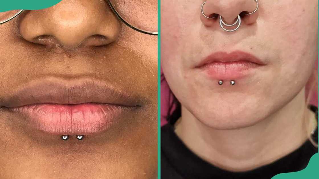 Dolphin bites lip piercing Dolphin bites lip piercing