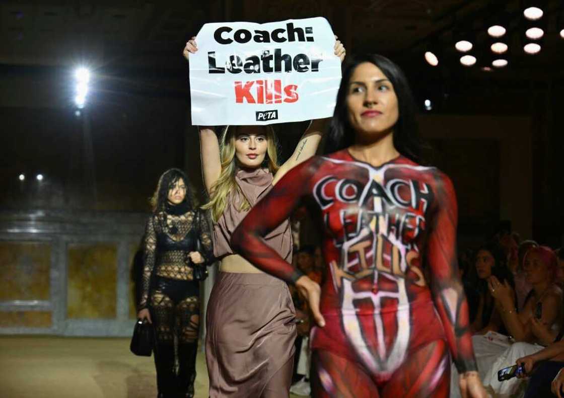 A an animal rights protestor holds a sign reading "Coach: Leather Kills" during New York Fashion Week A an animal rights protestor holds a sign reading "Coach: Leather Kills" during New York Fashion Week