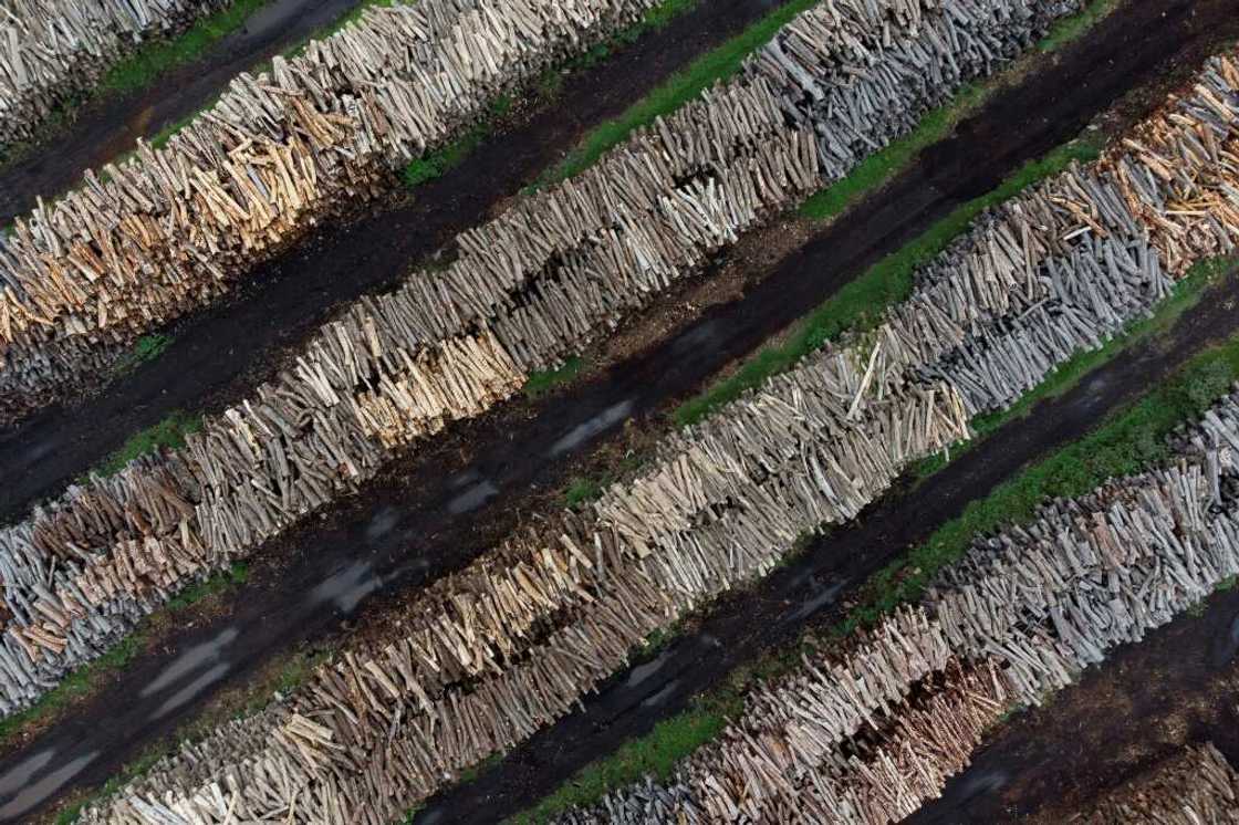 Aerial view of a wood factory in Resistencia, in the province of Chaco, northeast Argentina