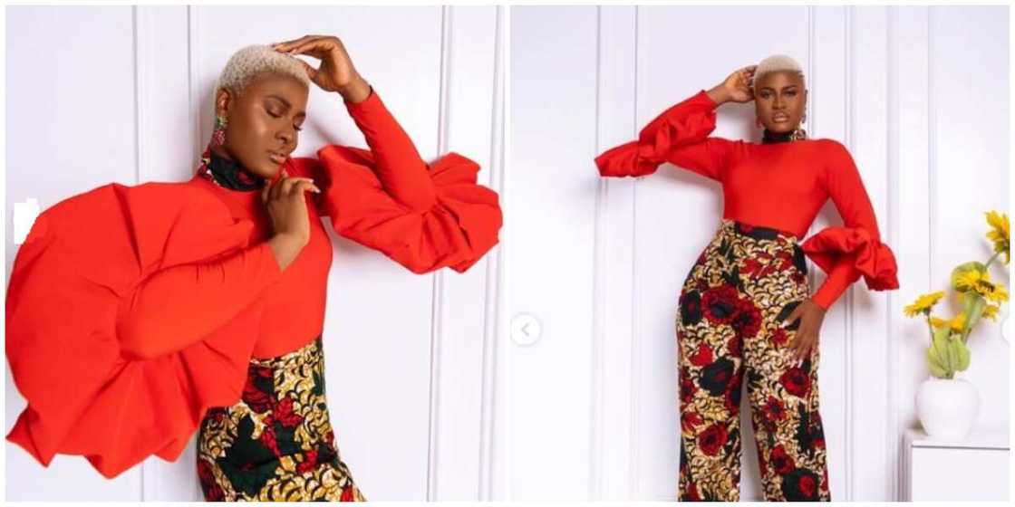 Photos of Alex Unusual.