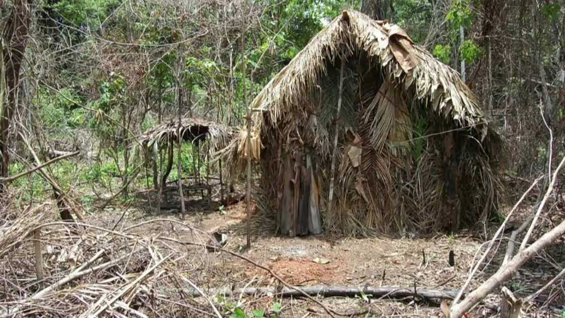 A straw hut in Brazil that was home to "The man of the hole", seen in a screen grab from 2011 A straw hut in Brazil that was home to "The man of the hole", seen in a screen grab from 2011