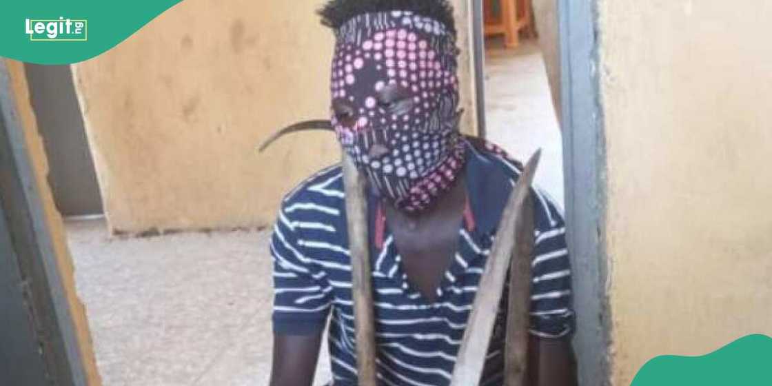 An kama kwararren barawon akuyoyi a Kaduna An kama kwararren barawon akuyoyi a Kaduna