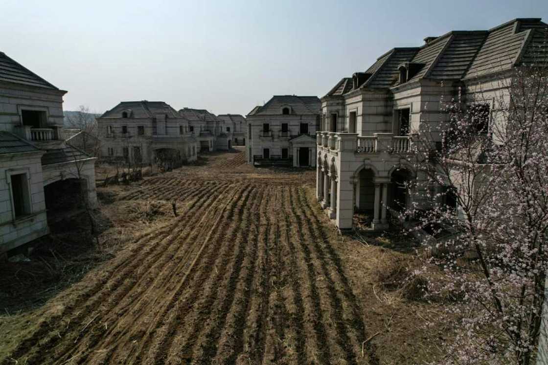 Local farmers now plough land that was envisaged as manicured gardens for the wealthy and politically connected, while feral dogs patrol crudely built poultry pens and double garages crammed with hay bales and farm equipment