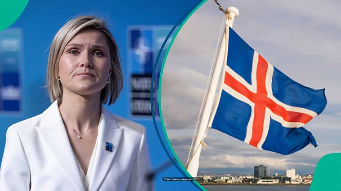 Iceland lists 9 job websites for foreigners, includes jobs without degree Iceland lists 9 job websites for foreigners, includes jobs without degree