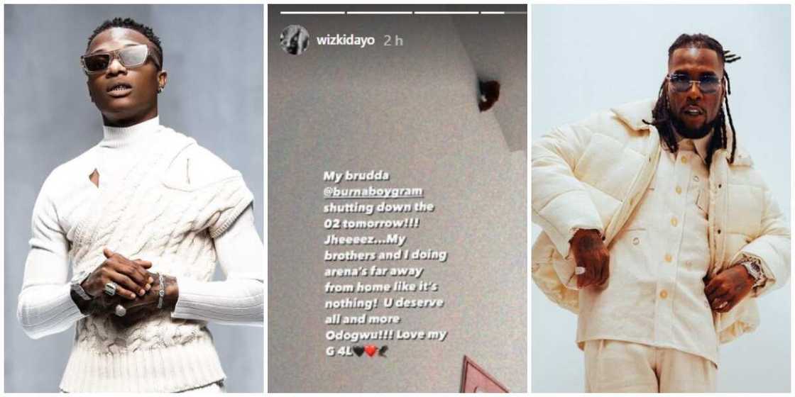 Photos of Wizkid and Burna Boy.