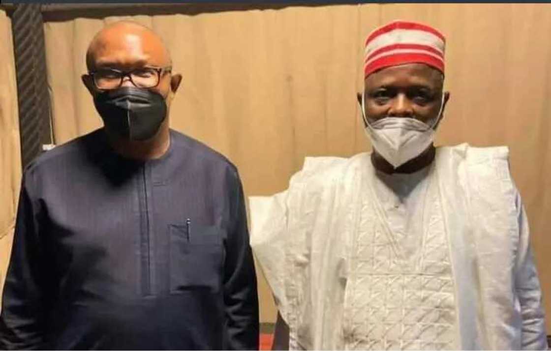 Rabiu Kwankwaso, Peter Obi, Labour Party, New Nigerian Peoples Party, Presidential election, running mate, vice presidency Rabiu Kwankwaso, Peter Obi, Labour Party, New Nigerian Peoples Party, Presidential election, running mate, vice presidency