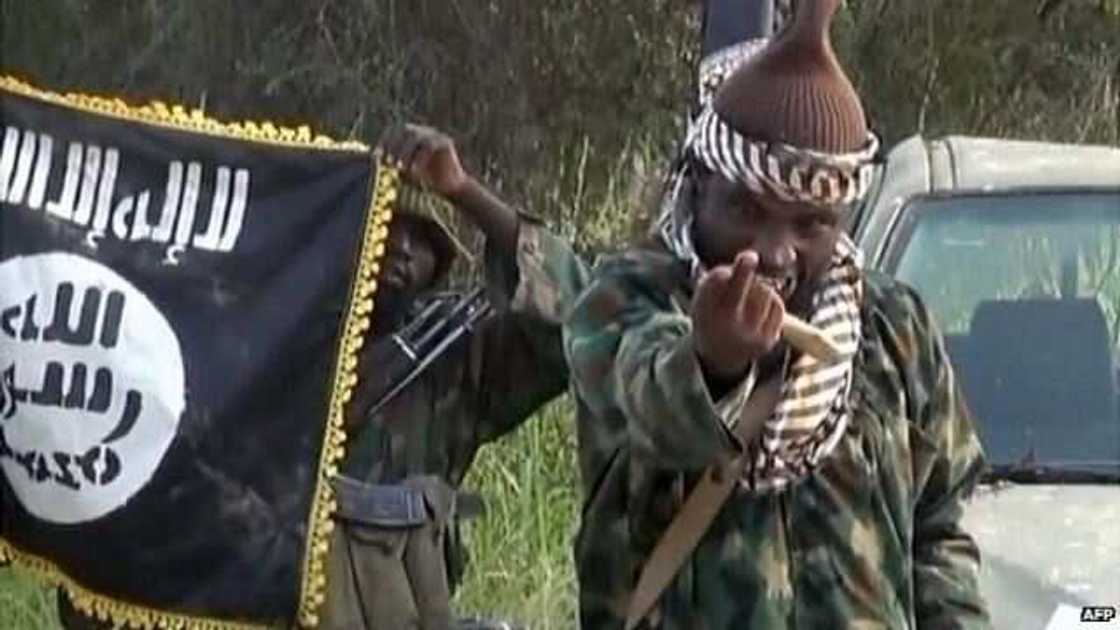 Shekau Gwarzo Ne: Dan Majalisa Ya Kori Mai Taimaka Masa Saboda Yabon Shekau