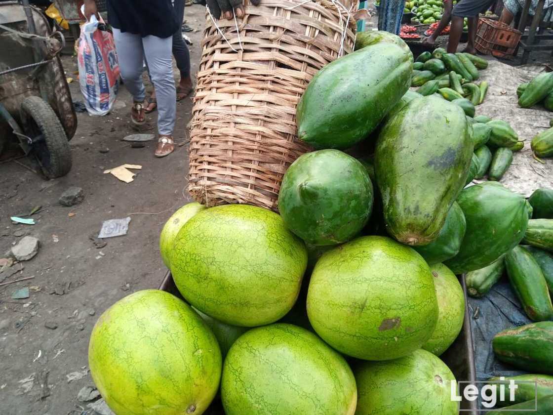 A big-sized watermelon is sold from N800 upwards at the market. Photo credit: Esther Odili A big-sized watermelon is sold from N800 upwards at the market. Photo credit: Esther Odili