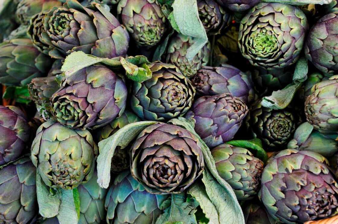 Artichaut: recettes, cuisson, bienfaits, régalez-vous ! Artichaut: recettes, cuisson, bienfaits, régalez-vous !