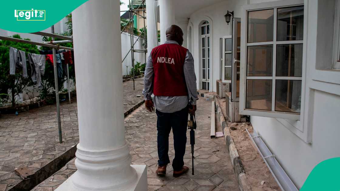 National Drug Law Enforcement Agency, Femi Babafemi, Buba Marwa, Lagos State, Anti-narcotics war