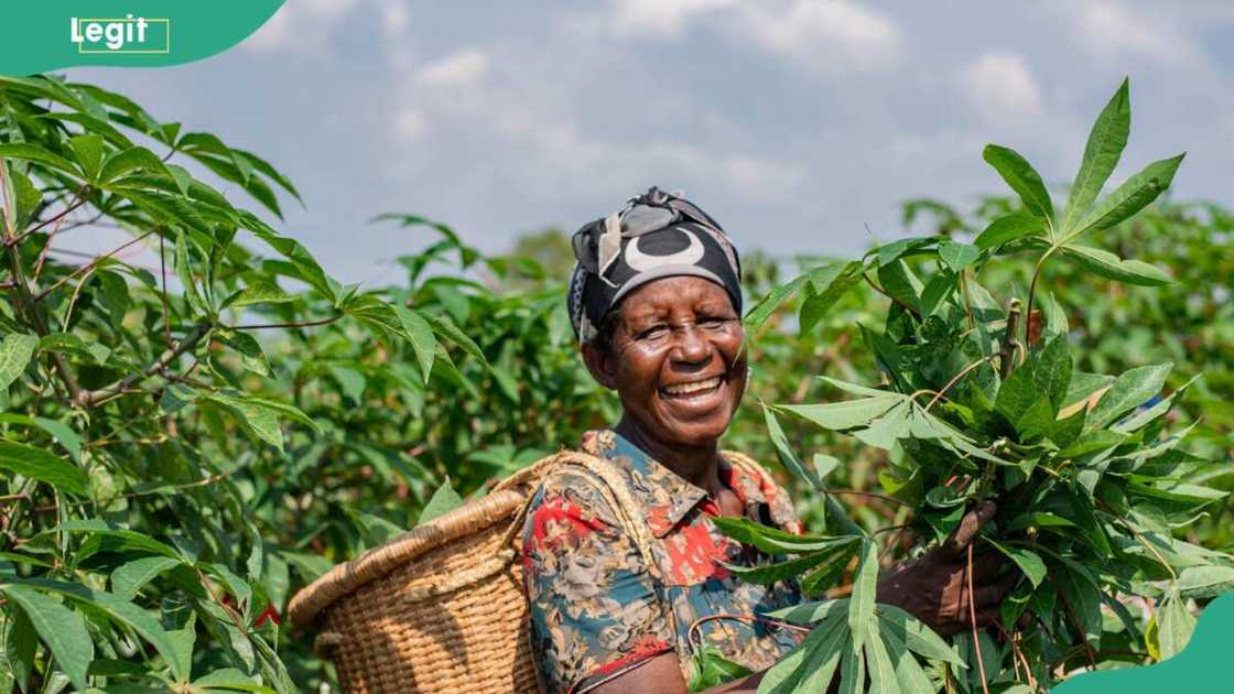 forms of agriculture