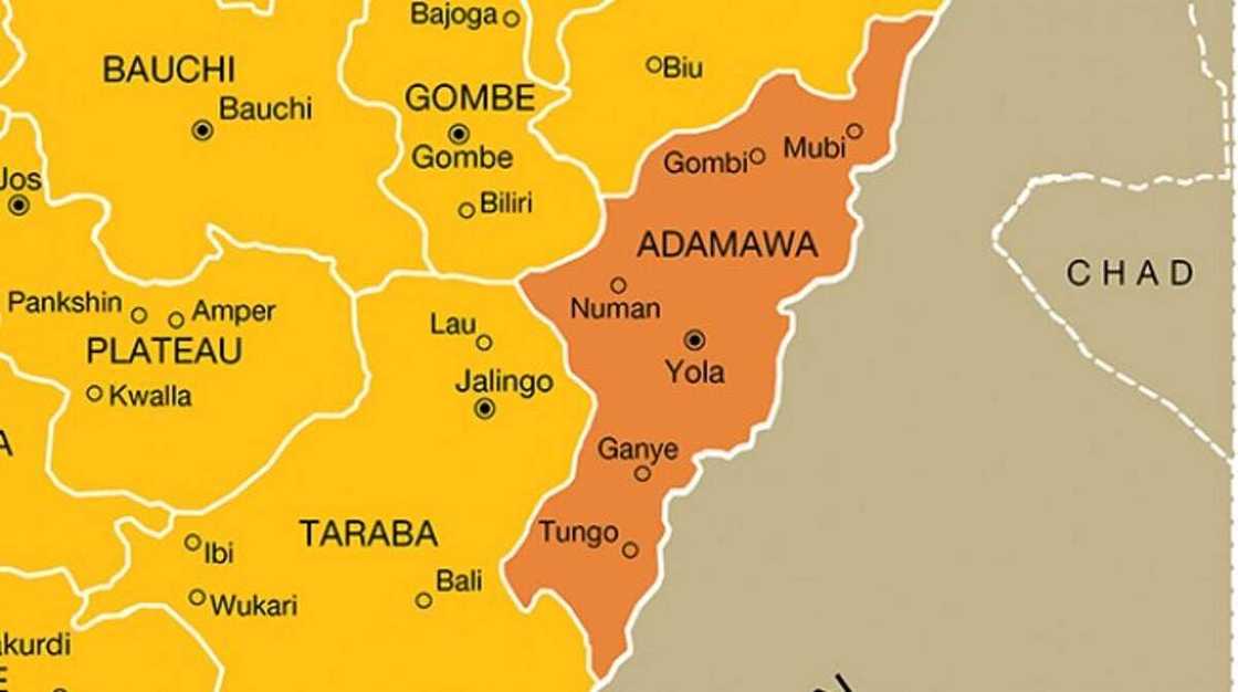 Yadda wata soja ta hallaka mai gidanta a wurin aiki a Adamawa Yadda wata soja ta hallaka mai gidanta a wurin aiki a Adamawa