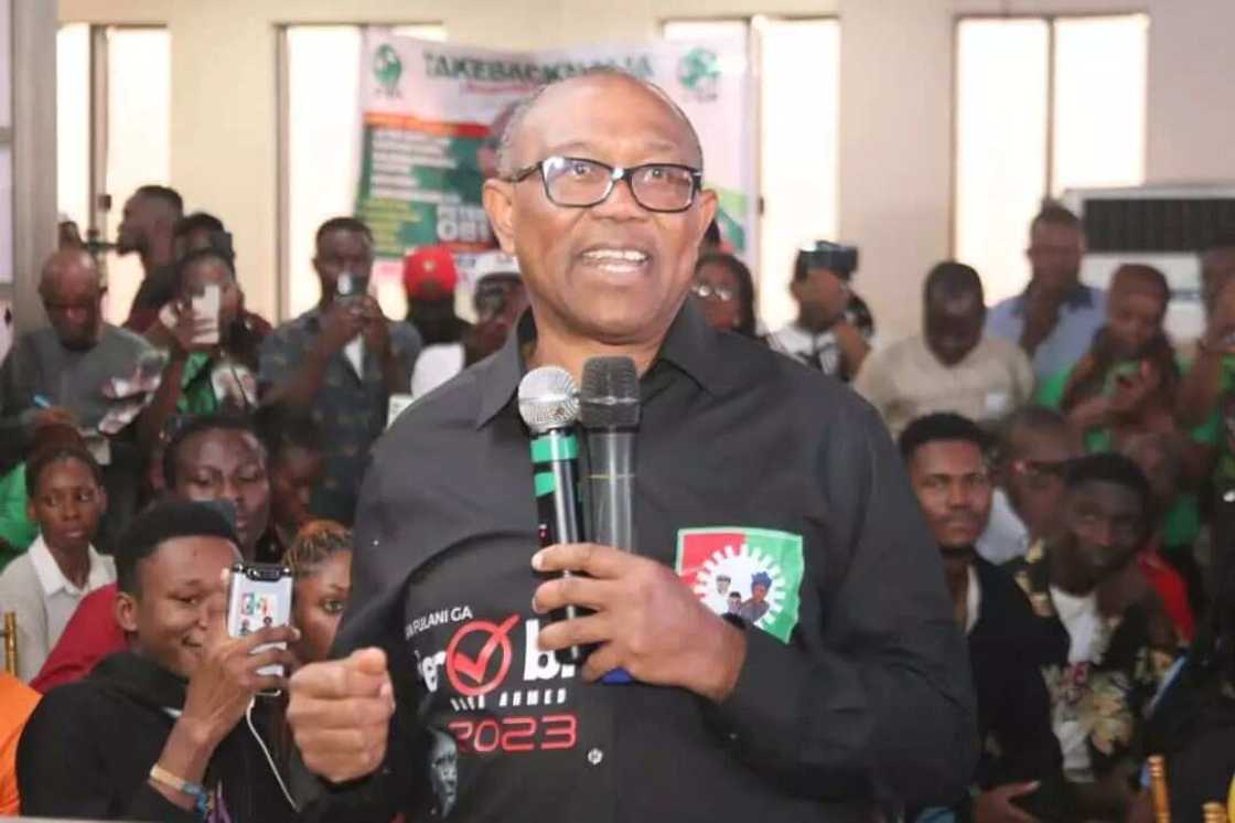 Peter Obi, Labour Party, 2023 presidential election, APC, Kaduna state Peter Obi, Labour Party, 2023 presidential election, APC, Kaduna state
