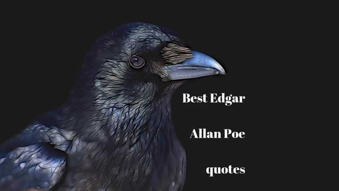Edgar Allan Poe quotes Edgar Allan Poe quotes