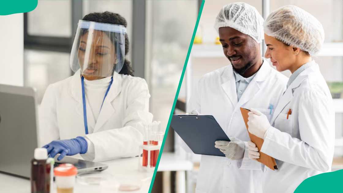 Scientists in laboratories Scientists in laboratories