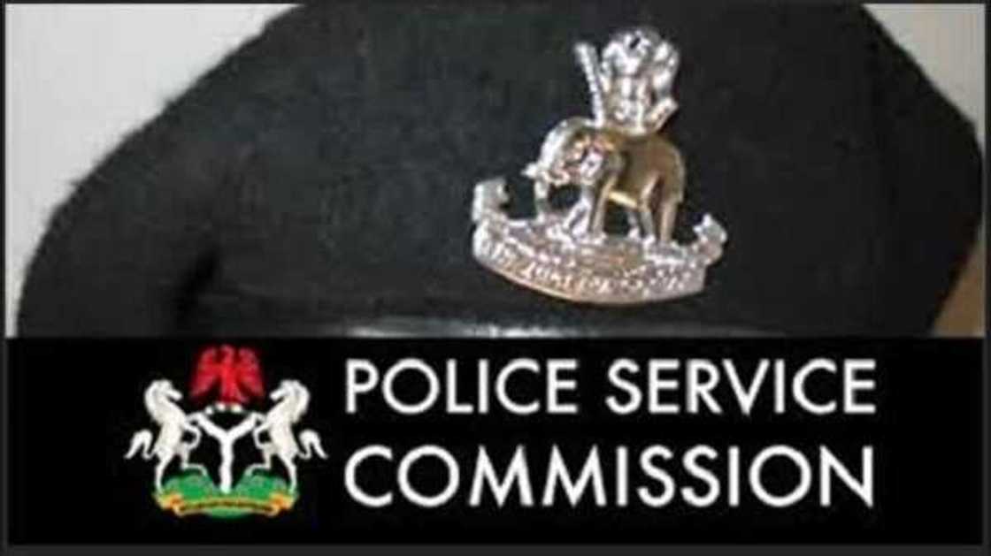 Yanzu-yanzu: PSC ta kori manyan 'yan sanda 10 daga aiki Yanzu-yanzu: PSC ta kori manyan 'yan sanda 10 daga aiki