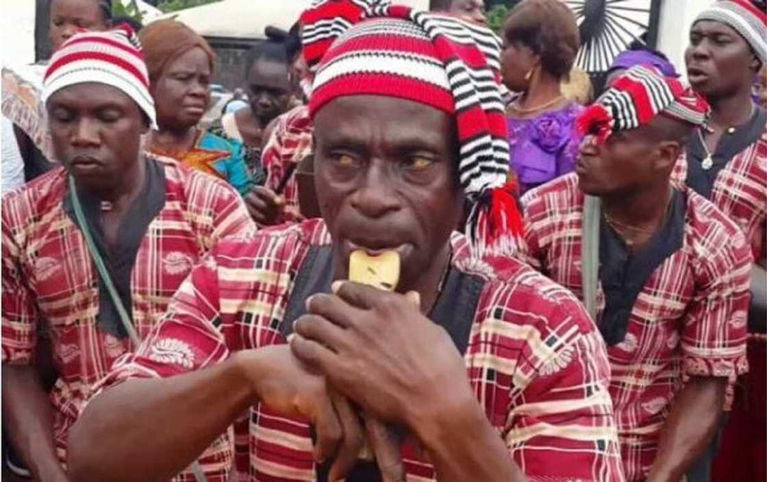 Shugabancin ƙasa: Za mu goyi bayan Igbo a 2023 - Sarkin Hausawa