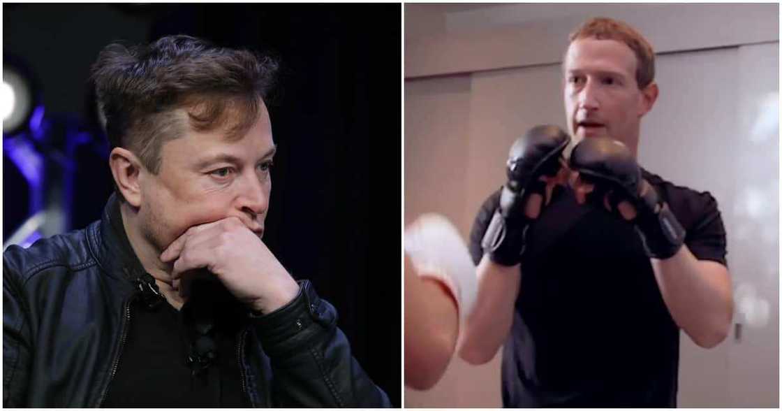 Mark Zuckerberg, Elon Musk Mark Zuckerberg, Elon Musk