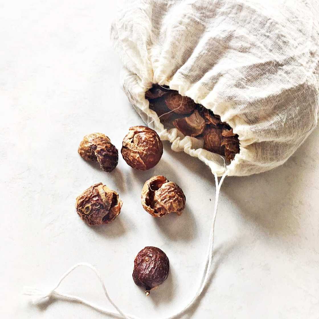 Soap nut Soap nut